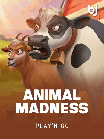 Animal Madness